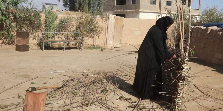 حياكة الصِيرة من شجرة التوت.. تراثٌ يتحدى النسيان