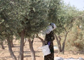عدسة العدد 2261 من صحيفة روناهي