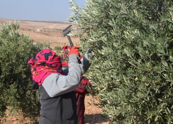 عدسة العدد 2264 من صحيفة روناهي