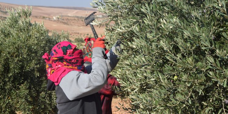 عدسة العدد 2264 من صحيفة روناهي