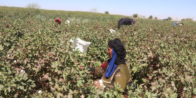 الأغنية النسائية في الجزيرة السورية.. الذاكرة الحيّة بين الحصاد والعزاء