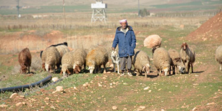 عدسة العدد 2268 من صحيفة روناهي