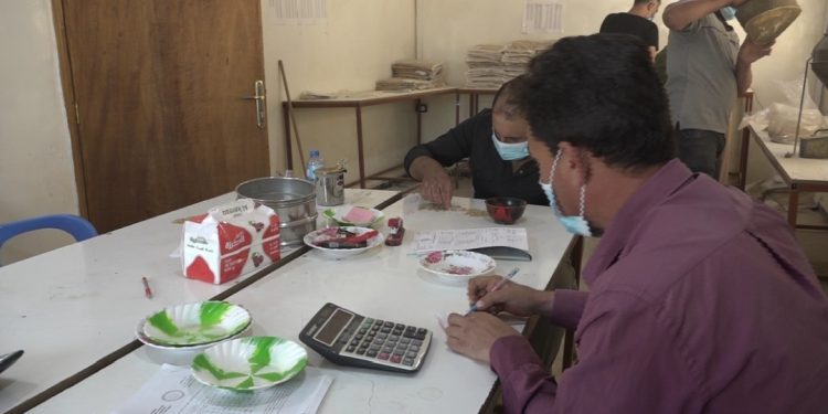 مؤسسة إكثار البذار بدير الزور.. جهود حثيثة لدعم الزراعة المحلية ببذور عالية الجودة