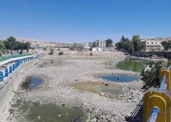جفاف نهر العاصي.. كارثة بيئية وزراعية تهدد المجتمع السوري