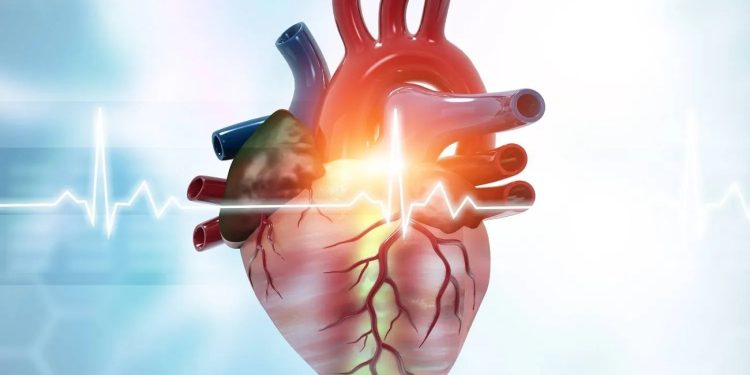 لمرضى القلب… احتياطات ينبغي اتخاذها في الطقس البارد