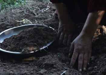 براعة امرأة من دير الزور.. تجربة ناجحة لصنع السماد العضوي