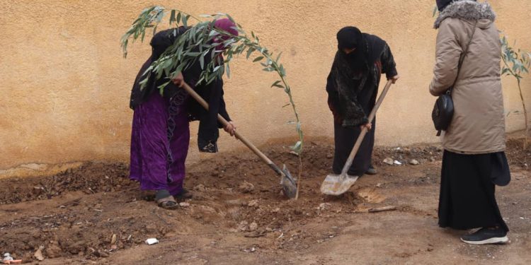 بهدف دمج عائدي مخيم الهول بالمجتمع.. مبادرة تشجير في دير الزور