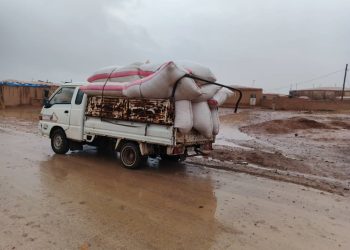 أزمة التبن وارتفاع الأسعار يهددان استدامة الثروة الحيوانية