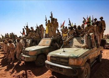 التدخل التركي بالسودان يزيد تعقيد المشهد