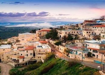 “أبناء الزعتر”