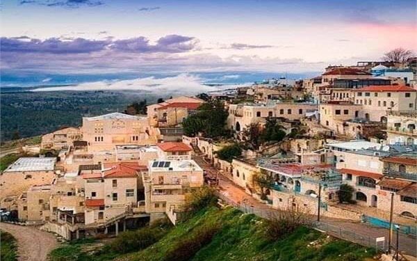 “أبناء الزعتر”