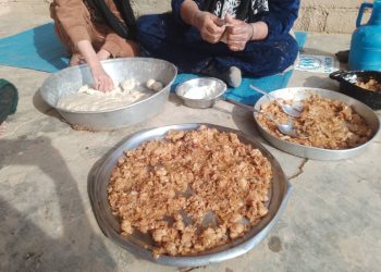 الكبة.. طبق ريفي يعكس روح الأصالة