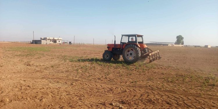 مؤشرات إيجابية لموسم القمح في إقليم شمال وشرق سوريا