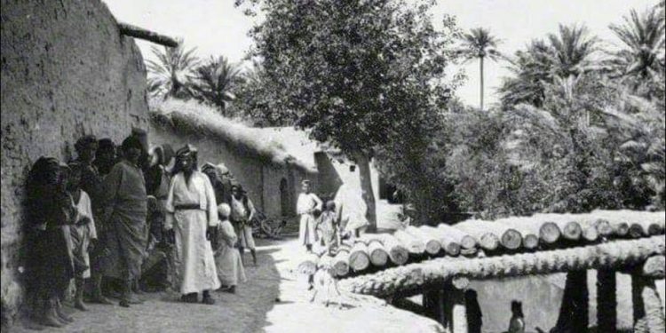 كشجرةٍ جديدةٍ موغلةٍ في القدم