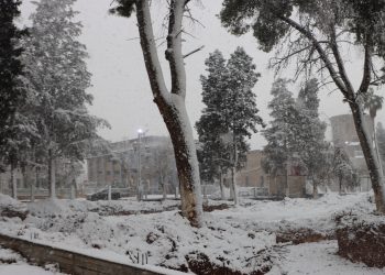 مقتطفات من تساقط الثلج في مدينة قامشلو