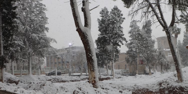 مقتطفات من تساقط الثلج في مدينة قامشلو