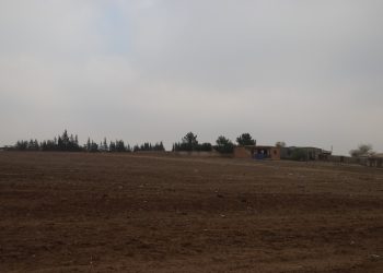 عرعور الشرابية.. تاريخ عريق وخدمات غائبة