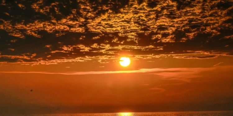 بين عالمين… نعيش بعمق ونظهر باحتراف