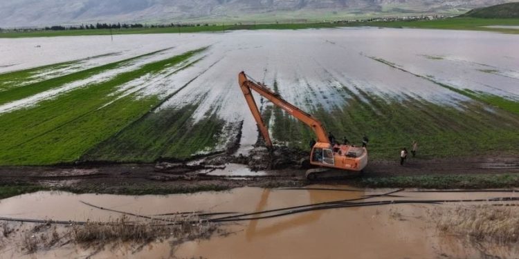 إهمال الحكومة المؤقتة يغرق آلاف الدونمات في سهل الغاب