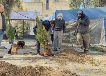 جولات رقابية وخدمية مكثفة لتعزيز النظافة والصحة العامة في مدن الجزيرة