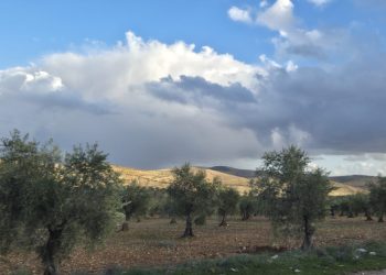 زيارة وفد الأسايش إلى عفرين تُعيد الأمل للأهالي بعد سنوات من الغياب