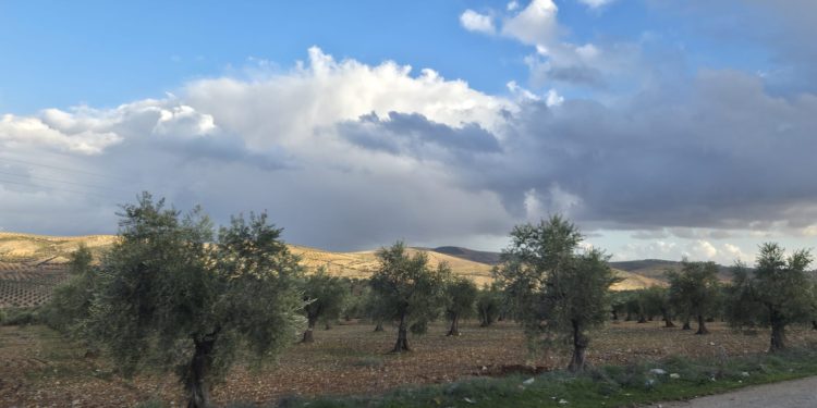 زيارة وفد الأسايش إلى عفرين تُعيد الأمل للأهالي بعد سنوات من الغياب