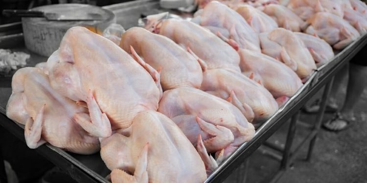 ارتفاع الطلب وتكاليف الأعلاف يرفعان أسعار الفروج في دمشق