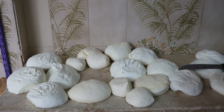 موسم الأجبان في قامشلو يحافظ على أسعاره رغم زيادة الإنتاج