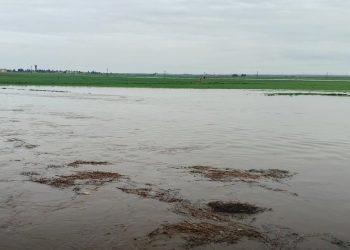 هطولات مطرية غزيرة في مقاطعة الجزيرة.. خسائر زراعية وارتفاع منسوب الأنهار