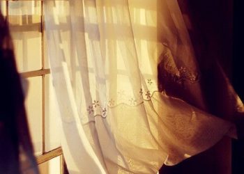 سَطْرٌ في دَفْتَرِ الشمس
