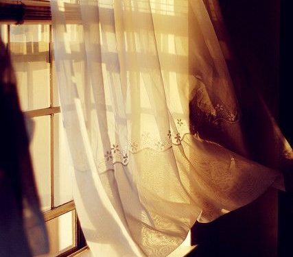 سَطْرٌ في دَفْتَرِ الشمس