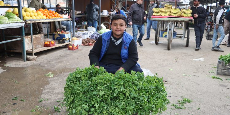 على عتبات الطفولة… فتى يحمل الخضار بدل الأحلام ليعيل أسرته