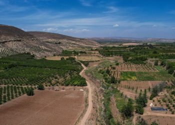 مظاهر السلب والنهب لممتلكات المواطنين بعفرين مستمرة