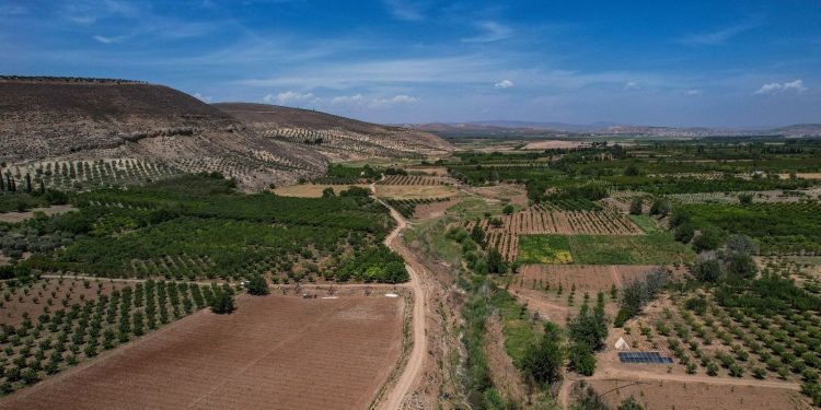 مظاهر السلب والنهب لممتلكات المواطنين بعفرين مستمرة