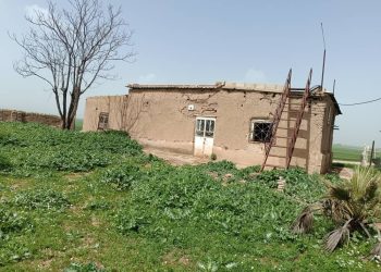 عدسة العدد 2383 من صحيفة روناهي