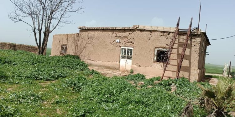 عدسة العدد 2383 من صحيفة روناهي