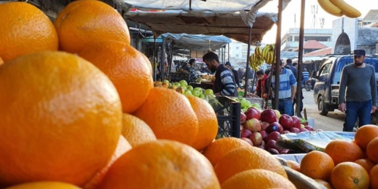 خسائر كبيرة في زراعة الحمضيات والموز باللاذقية