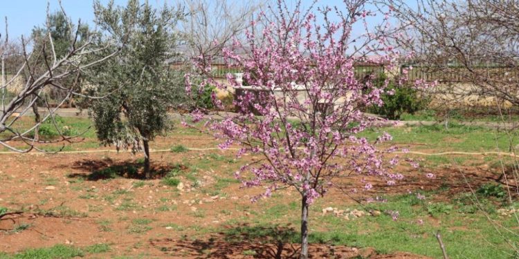 نيسان.. ربيع يتجدد فيه العهد بحماية البيئة