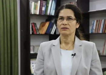 إلهام أحمد: سيكون للكرد دور في لجنة صياغة الدستور الجديد