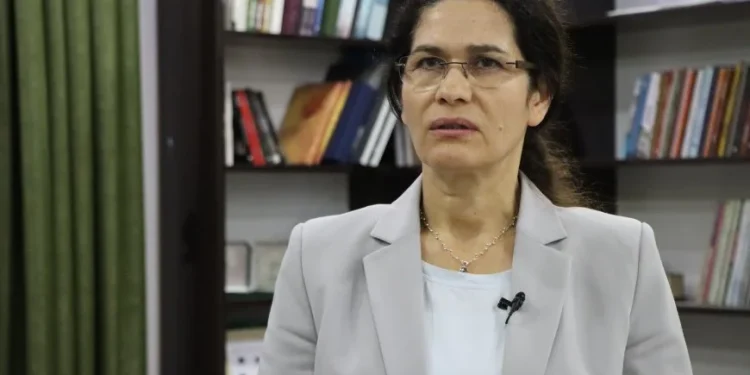 إلهام أحمد: سيكون للكرد دور في لجنة صياغة الدستور الجديد
