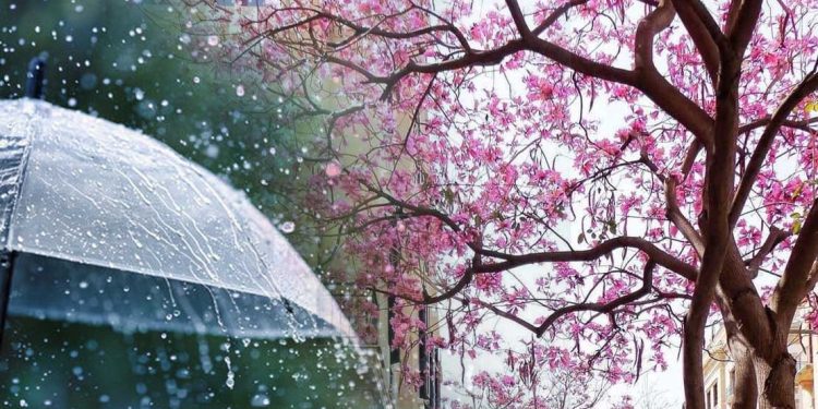 أمطار نيسان.. صديق المزروعات أم عدوها؟ دراسة علمية وتجارب عملية
