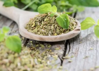 هل يُساعد الأوريغانو في خفض ضغط الدم؟