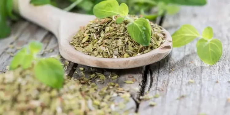 هل يُساعد الأوريغانو في خفض ضغط الدم؟
