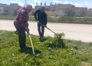 جهود بيئية في مقاطعة الجزيرة حفاظاً على جمالية المدن وزيادة المساحات الخضراء