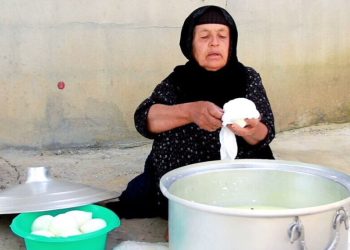 بلمسة الأمهات وروح الريف.. إعداد الجبن الكردي