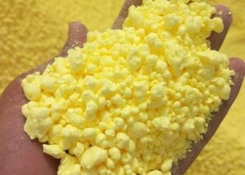 “الكبريت التعفيري” سلاحٌ فعّال وبيئي في مكافحة الأمراض الفطرية والآفات
