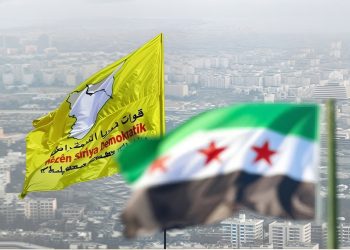 نسرين علي: ممارسات الحكومة المؤقتة تهدد نجاح عملية الاندماج