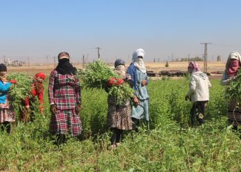 العمال في سوريا… وعود تصطدم بواقع الفقر والبطالة