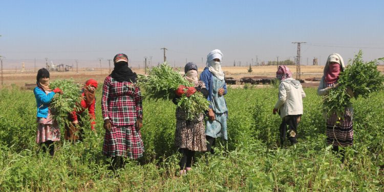 العمال في سوريا… وعود تصطدم بواقع الفقر والبطالة