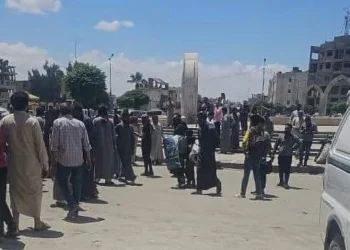 تحديد سعر شراء القمح بـ 46 ألف للطن الواحد إجحاف بحق السوريين